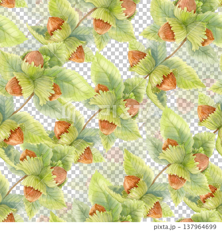 Autumn watercolor seamless pattern with hazelnuts and green leaves. Botanical woodland fall design for textile, wrapping paper. Autumn watercolor seamless pattern with hazelnuts and green leaves. Botanical woodland fall design for textile, wrapping paper. 137964699