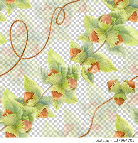 Autumn watercolor seamless pattern with hazelnuts, green leaves and twine strings. Botanical woodland fall design for textile. Autumn watercolor seamless pattern with hazelnuts, green leaves and twine strings. Botanical woodland fall design for textile. 137964703