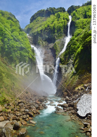 立山 称名滝　新緑の季節 137965069