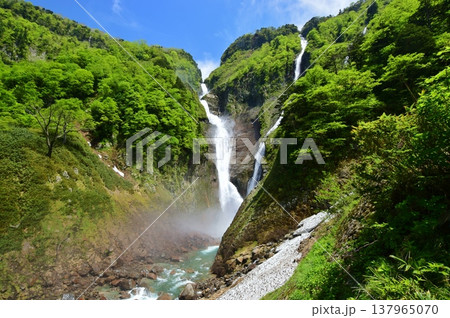立山 称名滝　新緑の季節 137965070