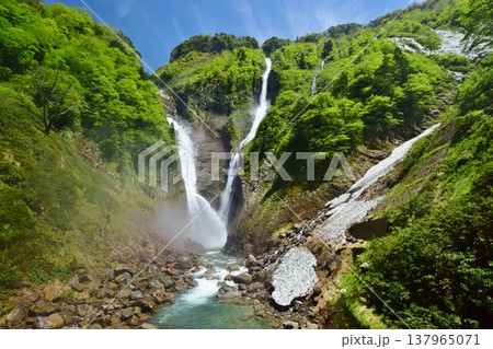 立山 称名滝　新緑の季節 137965071