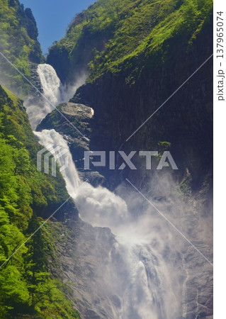 立山 称名滝　新緑の季節 137965074