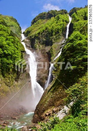立山 称名滝 新緑の季節 立山 称名滝 新緑の季節 137965076