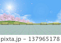 静寂や孤独を感じる桜咲く公園　人物や文字を入れるシンプル背景素材 137965178