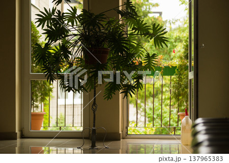 Waiting room with flower Waiting room with flower 137965383