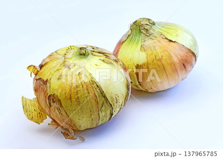 新たまねぎ(はるたま) 新たまねぎ(はるたま) 137965785