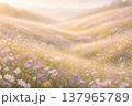 Dreamy Golden Hour Wildflower Meadow with Rolling Hills and Soft Pastel Flowers 137965789
