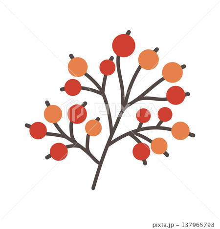Two branches with clusters of autumn red forest berries isolated on white background vector art Two branches with clusters of autumn red forest berries isolated on white background vector art 137965798