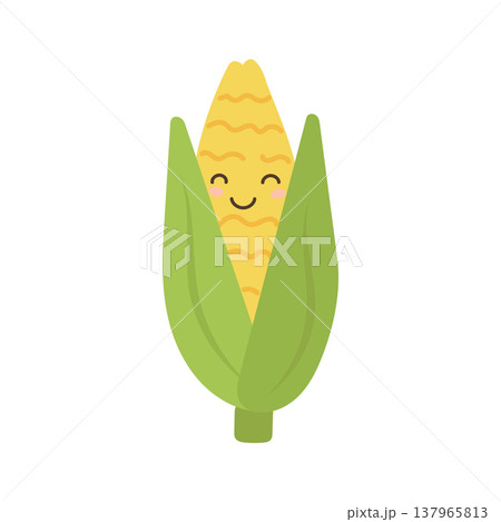 Corn food illustration and cartoon design icon with character cute nature. Isolated summer background and corn vegetable plant with farm white food. Health corn graphic and healthy cartoon 137965813