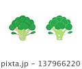 ブロッコリーのイラスト 137966220