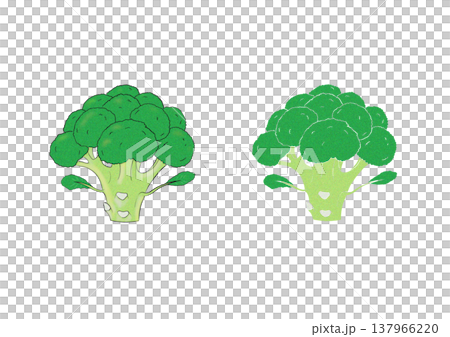 ブロッコリーのイラスト ブロッコリーのイラスト 137966220