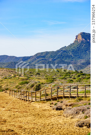 Beach with wooden path to sea water. 137966254