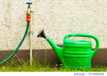 Watering green can on garden plot 137966265