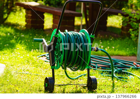 Garden hose for watering plants in garden Garden hose for watering plants in garden 137966266