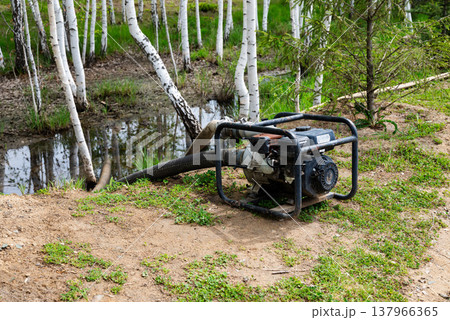 Water pump placed near a pond in a forest during the daytime Water pump placed near a pond in a forest during the daytime 137966365