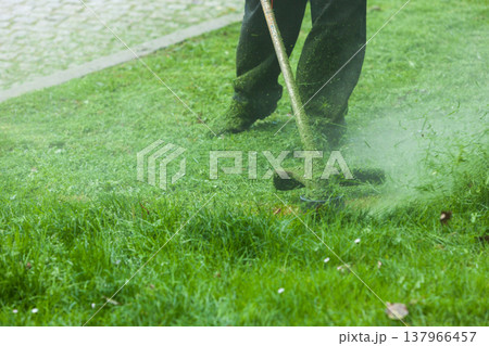 Man mowing green grass using brushcutter Man mowing green grass using brushcutter 137966457