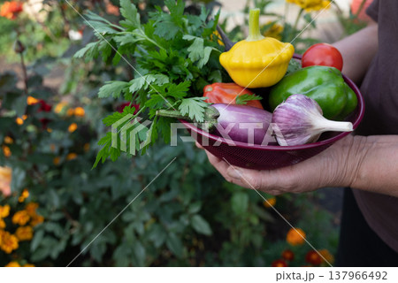 Fresh vegetable melange on wooden rustic background. Fresh vegetable melange on wooden rustic background. 137966492