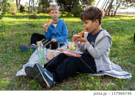 Two boys eating pizza on picnic blanket in park, outdoor lunch, friendship and summer lifestyle Two boys eating pizza on picnic blanket in park, outdoor lunch, friendship and summer lifestyle 137966746