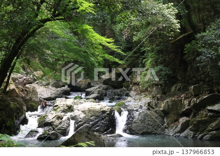 岩のある川 岩のある川 137966853