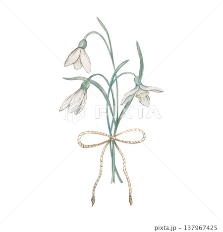 snowdrop flower with tied bow watercolor composition snowdrop flower with tied bow watercolor composition 137967425