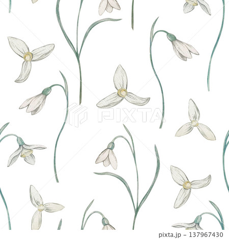 snowdrop flower seamless pattern watercolor snowdrop flower seamless pattern watercolor 137967430
