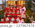 春の風景/美しいお雛様 137967478