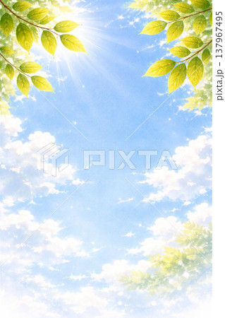 若葉・新緑シリーズ：枝のシルエットが映える空背景 137967495