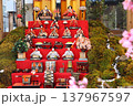 春の風景/美しいお雛様 137967597
