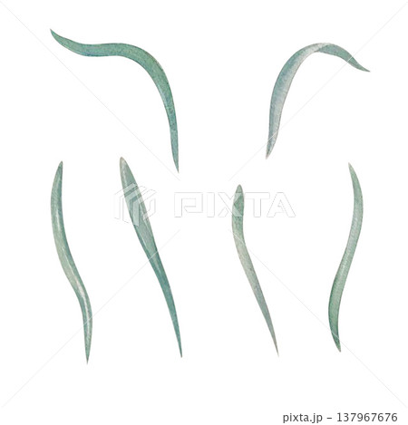 leaf set watercolor 137967676