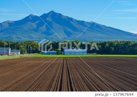 北海道道東の斜里岳と広がる畑の風景 日本百名山と農地の絶景 北海道道東の斜里岳と広がる畑の風景 日本百名山と農地の絶景 137967694