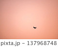 空を飛ぶ鳥 137968748