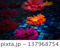 水に浮かぶガーベラ 137968754