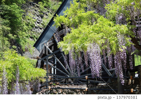 日本の原風景を思い出すような景観地ー参 137970381