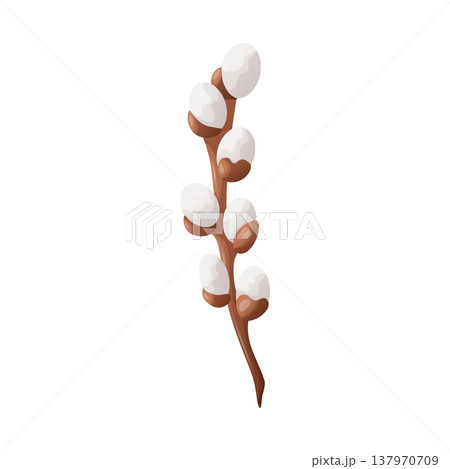 A willow with fluffy gray buds on a brown branch. Flat vector style with soft shadows and careful detailing. Botanical spring element for Easter designs, cards, posters, packaging, printing, and decor A willow with fluffy gray buds on a brown branch. Flat vector style with soft shadows and careful detailing. Botanical spring element for Easter designs, cards, posters, packaging, printing, and decor 137970709