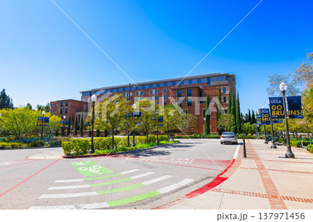 アメリカ　UCLAのキャンパス 137971456