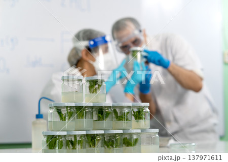 Male female scientist was carefully looking at the tissue samples Male female scientist was carefully looking at the tissue samples 137971611