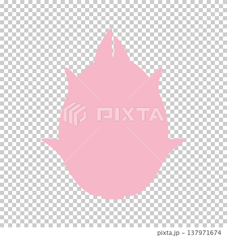 ドラゴンフルーツのシンプルなカラーイラスト ドラゴンフルーツのシンプルなカラーイラスト 137971674