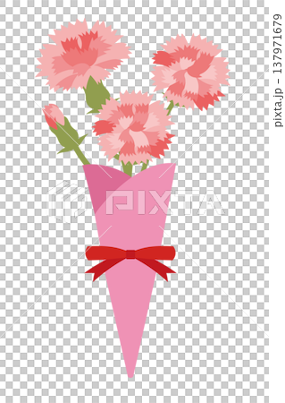 Mother's Day: Illustration of a wrapped bouquet of pale pink carnations. Mother's Day: Illustration of a wrapped bouquet of pale pink carnations. 137971679
