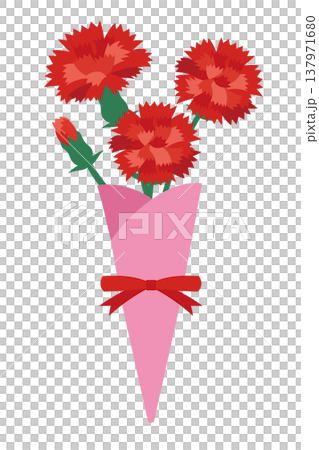 Mother's Day: Illustration of a wrapped bouquet of red carnations. Mother's Day: Illustration of a wrapped bouquet of red carnations. 137971680