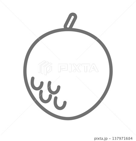 ライチの線画シンプルイラスト ライチの線画シンプルイラスト 137971684