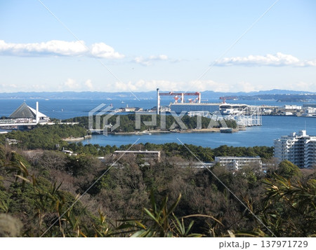 横浜市金沢区の称名寺市民の森にある八角堂広場（金沢山山頂）からの眺め（南東側　八景島・猿島方向） 137971729