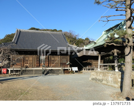 横浜市金沢区の称名寺（金堂・釈迦堂・鐘楼） 137971735