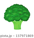 野菜＿ブロッコリー＿食品素材 137971869