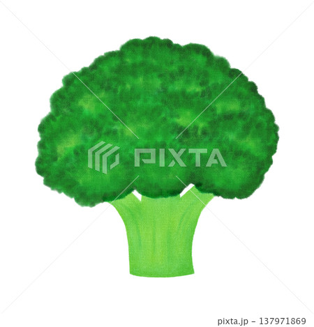 野菜＿ブロッコリー＿食品素材 137971869