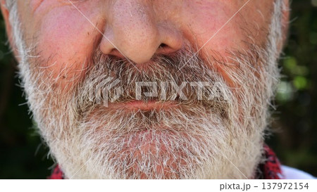 Close up mouth of elderly man with gray beard outdoor. The static frame reveals the calmness of age and the silent presence of life experience. Concept of age, memory and contemplation 137972154