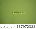 黄緑色背景のSpring文字 137972322