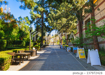 アメリカ　UCLAのキャンパス 137972428