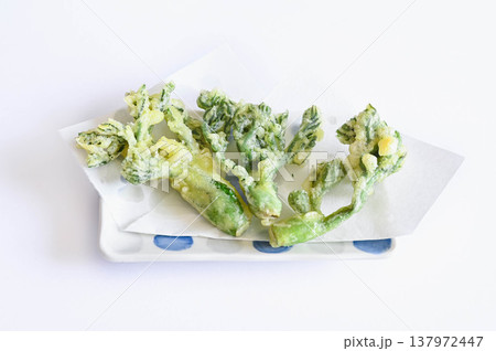 タラの芽の天ぷら 137972447