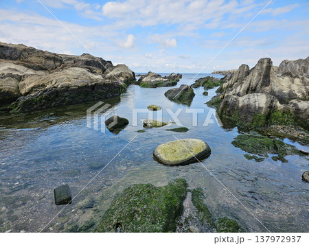 神奈川県三浦市の城ヶ島の海岸 神奈川県三浦市の城ヶ島の海岸 137972937
