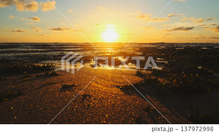 Sun over horizon and rolling ocean waves to the shore while sunset during tide. Beautiful natural landscape with water, sandy beach and green plants during low tide. Beautiful wild nature. Sun over horizon and rolling ocean waves to the shore while sunset during tide. Beautiful natural landscape with water, sandy beach and green plants during low tide. Beautiful wild nature. 137972998